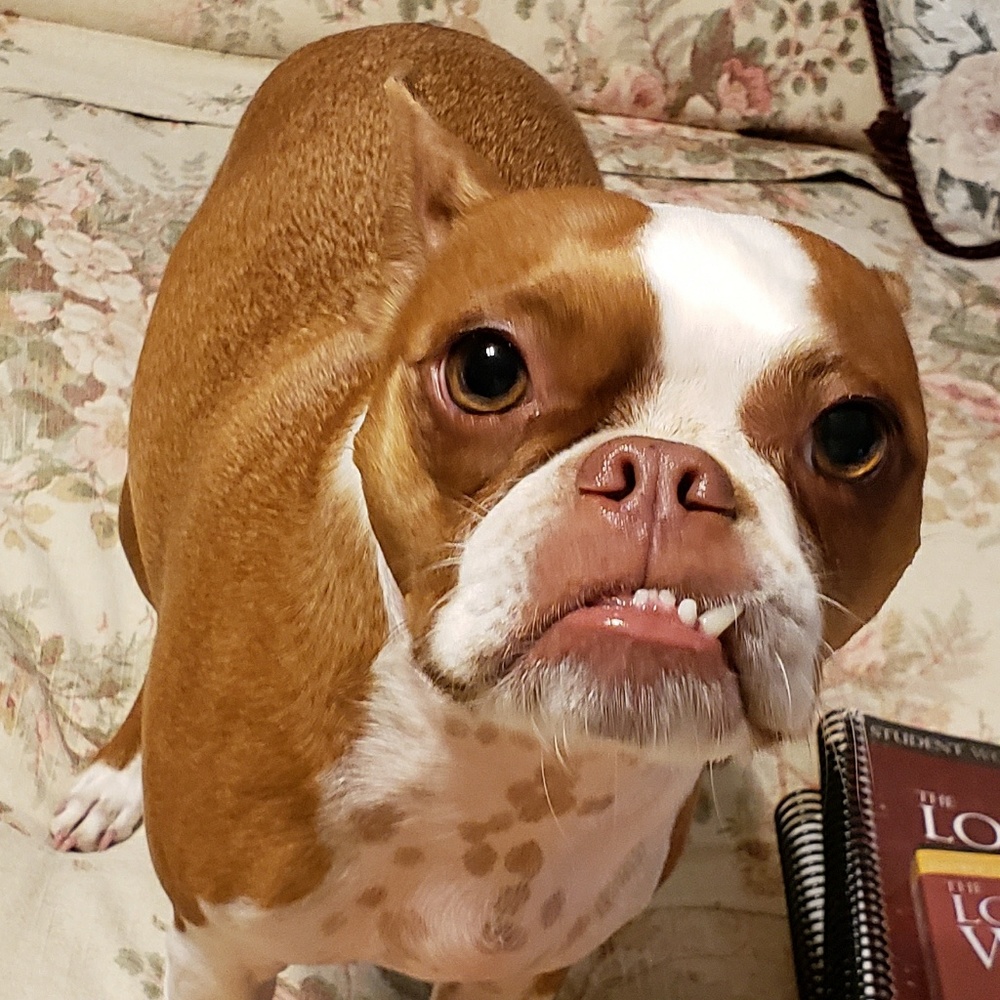 Meet your Posher, Deb